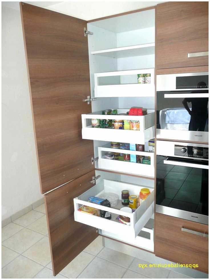 Meuble Colonne Cuisine Meilleur De Résultat Supérieur Meuble Colonne Pour Cuisine Frais Résultat