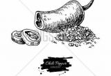 Chili Pepper Hand Drawn Vector Vector & Galerie De Objet Cuisine