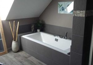 Idee Carrelage Salle De Bain Salle De Bain Idee Carrelage Id E Schème De Peinture Pour Carrelage Mural